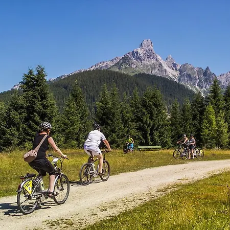 فندق Alpenhof 4*