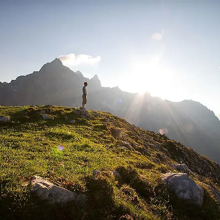 Hotel Alpenhof 4*