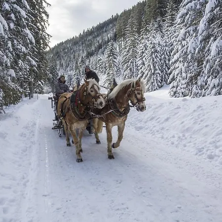 Hotel Alpenhof Filzmoos