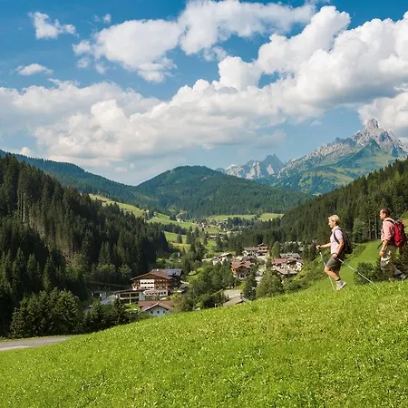 Hotel Alpenhof 4*