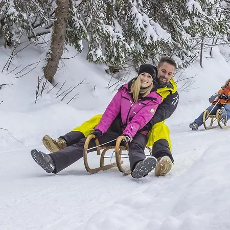 Alpenhof Hotel Filzmoos